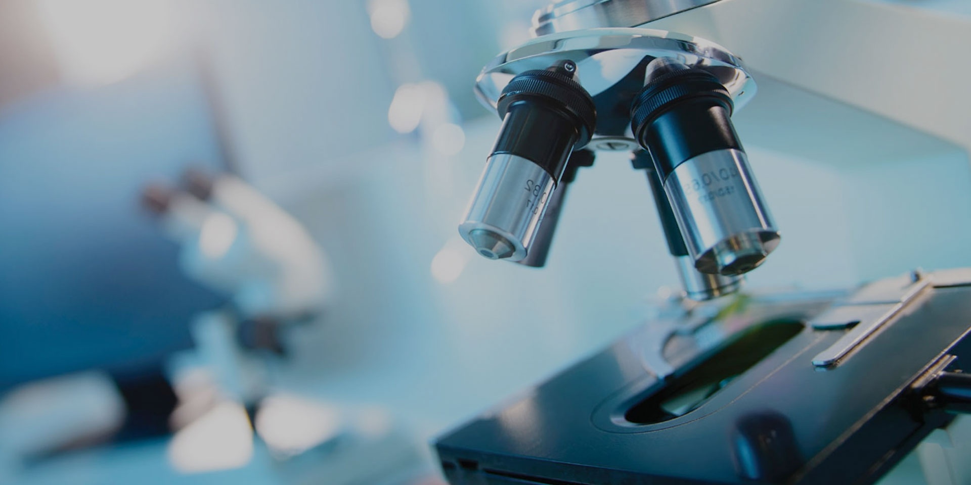 Resultados de investigación innovadores